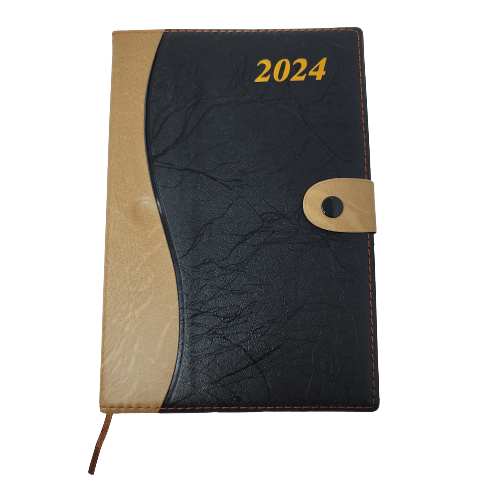 Diary, 2024