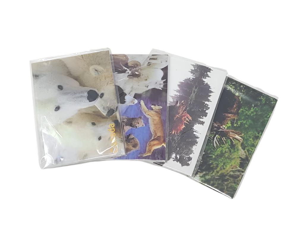 Magnetic, Souvenir