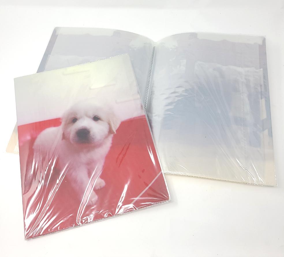 Clear Folder, Plastic, Printed