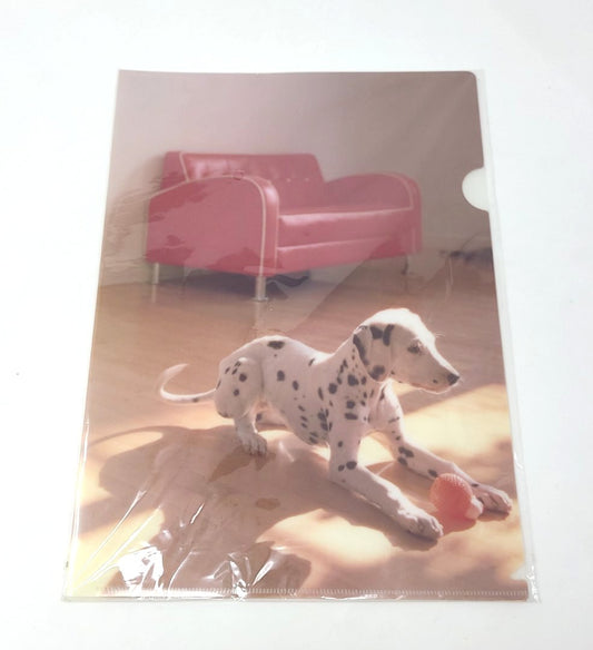 Folder, Plastic, Printed  (3 units/pack)