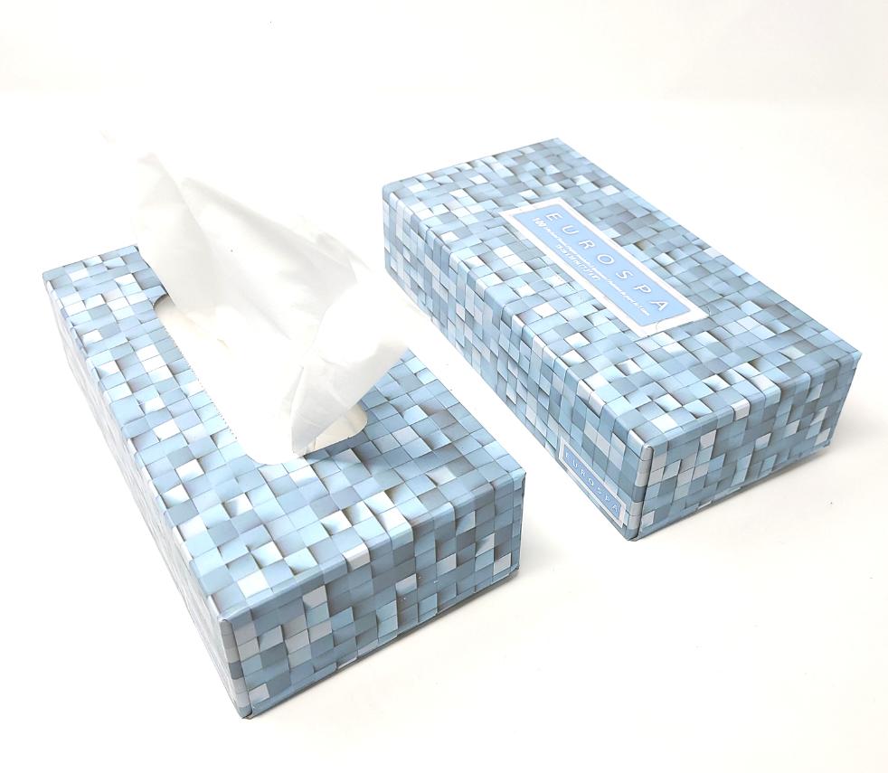 Facial Tissue (100 Sheet)