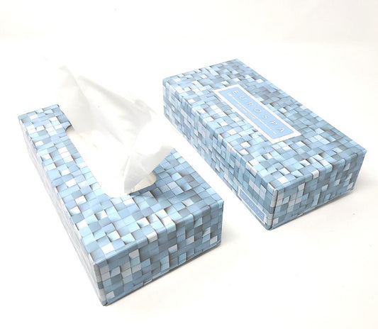 Facial Tissue (100 Sheet)