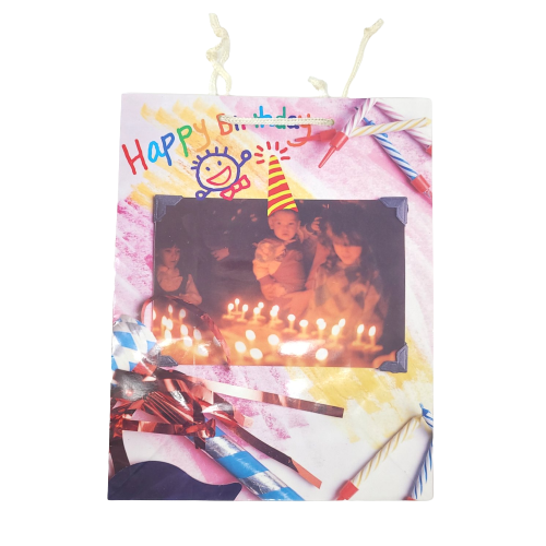 Gift Bag, Paper (Medium, 32.5 x 25.3 x 13.4cm)