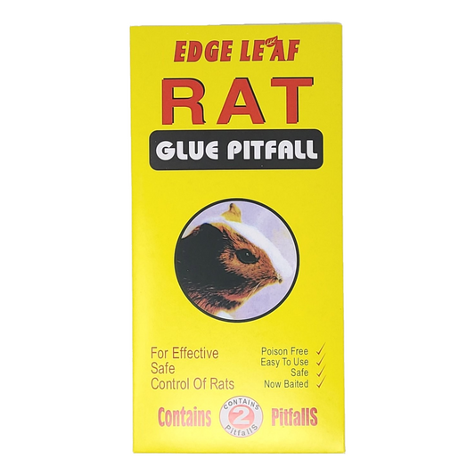 Mouse Glue, Large (2 units/pack)
