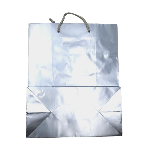 Gift Bag, Paper, Silver (Small, 24.5 x 19.9 x 10.3cm)